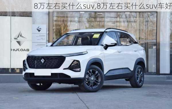 8万左右买什么suv,8万左右买什么suv车好-第3张图片-立方汽车网