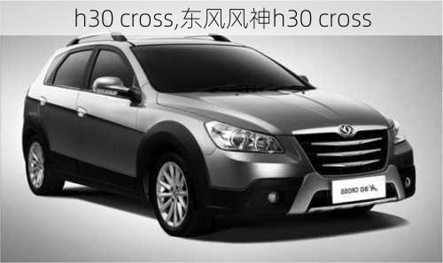 h30 cross,东风风神h30 cross-第1张图片-立方汽车网