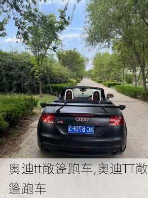 奥迪tt敞篷跑车,奥迪TT敞篷跑车-第2张图片-立方汽车网