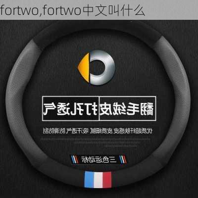 fortwo,fortwo中文叫什么-第3张图片-立方汽车网