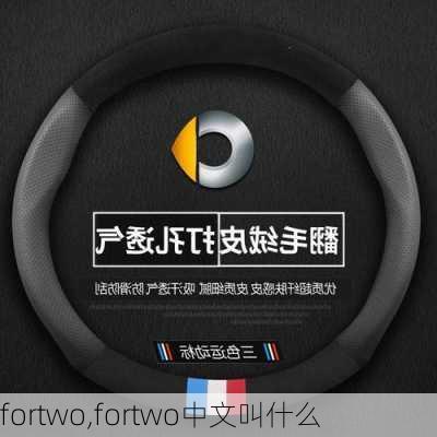 fortwo,fortwo中文叫什么-第2张图片-立方汽车网