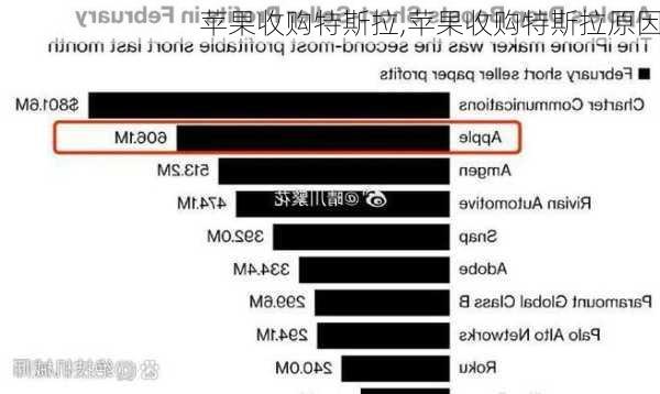 苹果收购特斯拉,苹果收购特斯拉原因-第3张图片-立方汽车网