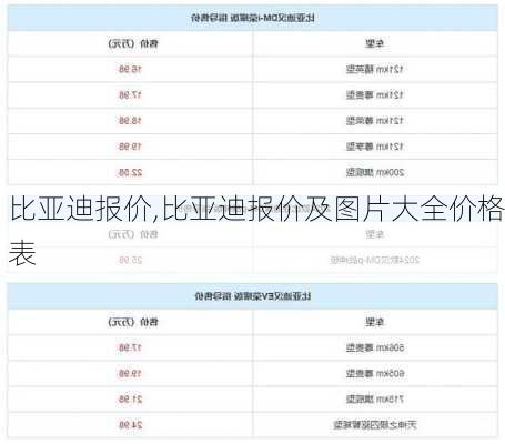 比亚迪报价,比亚迪报价及图片大全价格表-第1张图片-立方汽车网