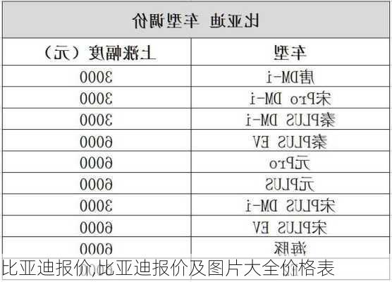 比亚迪报价,比亚迪报价及图片大全价格表-第3张图片-立方汽车网