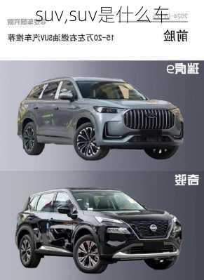 suv,suv是什么车-第1张图片-立方汽车网