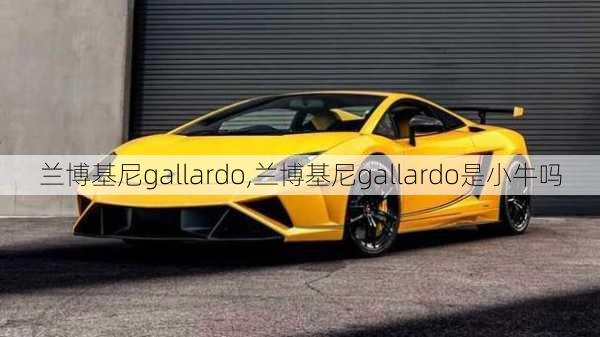 兰博基尼gallardo,兰博基尼gallardo是小牛吗-第1张图片-立方汽车网