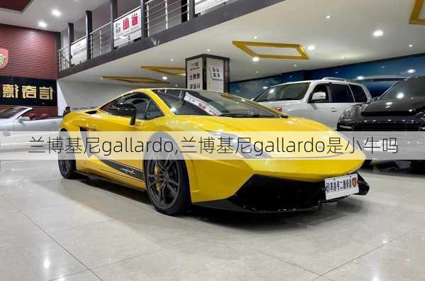 兰博基尼gallardo,兰博基尼gallardo是小牛吗-第2张图片-立方汽车网