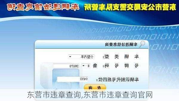 东营市违章查询,东营市违章查询官网-第2张图片-立方汽车网