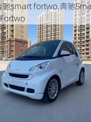 奔驰smart fortwo,奔驰SmartFortwo-第1张图片-立方汽车网