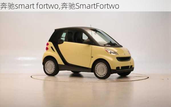 奔驰smart fortwo,奔驰SmartFortwo-第3张图片-立方汽车网