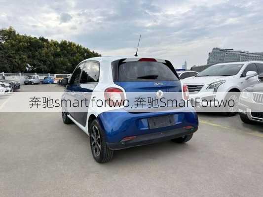 奔驰smart fortwo,奔驰SmartFortwo-第2张图片-立方汽车网