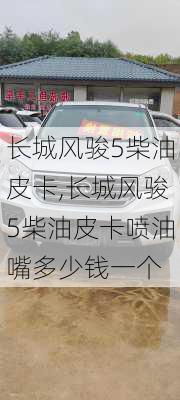 长城风骏5柴油皮卡,长城风骏5柴油皮卡喷油嘴多少钱一个-第1张图片-立方汽车网