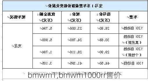 bmwm1,bmwm1000rr售价-第1张图片-立方汽车网