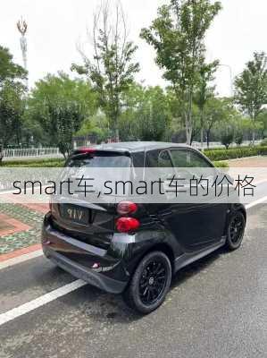 smart车,smart车的价格-第2张图片-立方汽车网