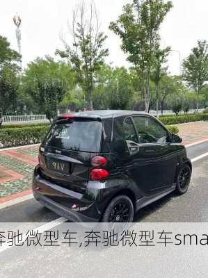 奔驰微型车,奔驰微型车smart-第2张图片-立方汽车网