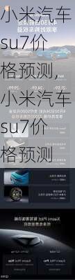 小米汽车su7价格预测,小米汽车su7价格预测-第3张图片-立方汽车网