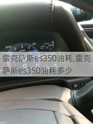 雷克萨斯es350油耗,雷克萨斯es350油耗多少-第2张图片-立方汽车网