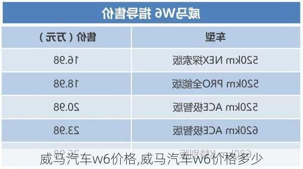 威马汽车w6价格,威马汽车w6价格多少-第1张图片-立方汽车网