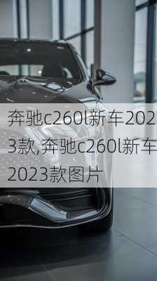 奔驰c260l新车2023款,奔驰c260l新车2023款图片-第1张图片-立方汽车网