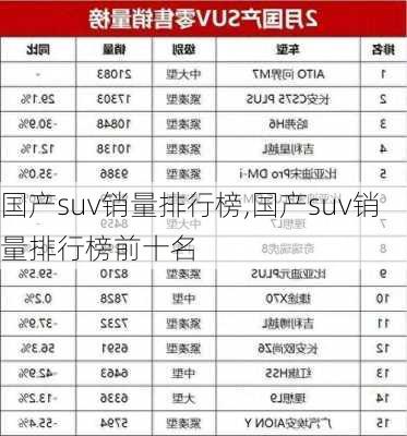 国产suv销量排行榜,国产suv销量排行榜前十名-第3张图片-立方汽车网