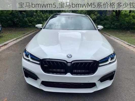 宝马bmwm5,宝马bmwM5系价格多少钱-第3张图片-立方汽车网