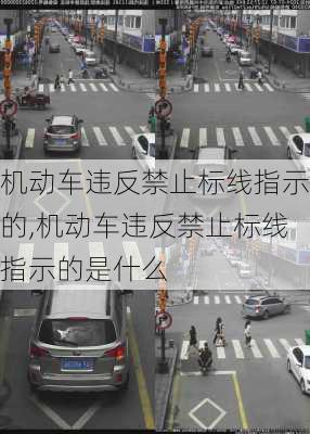 机动车违反禁止标线指示的,机动车违反禁止标线指示的是什么-第2张图片-立方汽车网