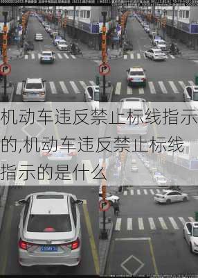 机动车违反禁止标线指示的,机动车违反禁止标线指示的是什么-第3张图片-立方汽车网