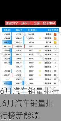 6月汽车销量排行,6月汽车销量排行榜新能源-第1张图片-立方汽车网