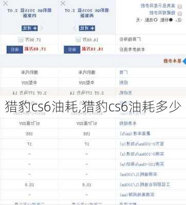 猎豹cs6油耗,猎豹cs6油耗多少-第2张图片-立方汽车网