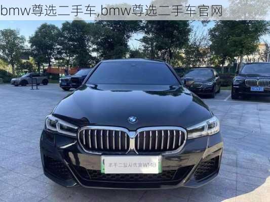 bmw尊选二手车,bmw尊选二手车官网-第3张图片-立方汽车网