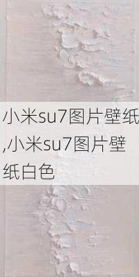 小米su7图片壁纸,小米su7图片壁纸白色-第1张图片-立方汽车网