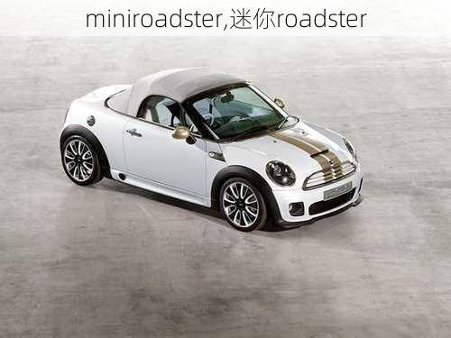 miniroadster,迷你roadster-第1张图片-立方汽车网