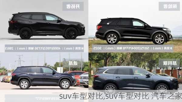 suv车型对比,suv车型对比 汽车之家-第1张图片-立方汽车网