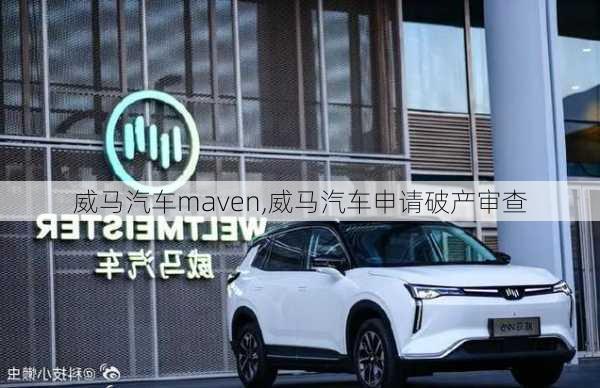 威马汽车maven,威马汽车申请破产审查-第3张图片-立方汽车网