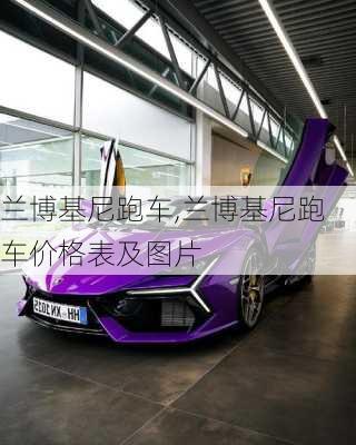 兰博基尼跑车,兰博基尼跑车价格表及图片-第3张图片-立方汽车网