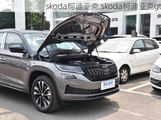 skoda柯迪亚克,skoda柯迪亚克gt-第3张图片-立方汽车网