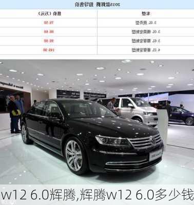 w12 6.0辉腾,辉腾w12 6.0多少钱-第1张图片-立方汽车网