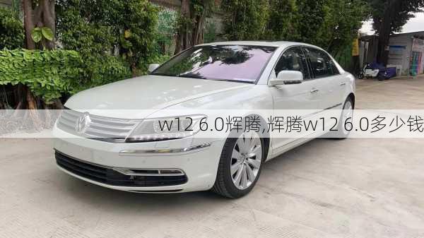 w12 6.0辉腾,辉腾w12 6.0多少钱-第2张图片-立方汽车网