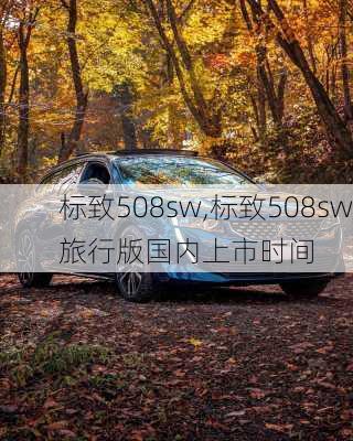 标致508sw,标致508sw旅行版国内上市时间-第3张图片-立方汽车网