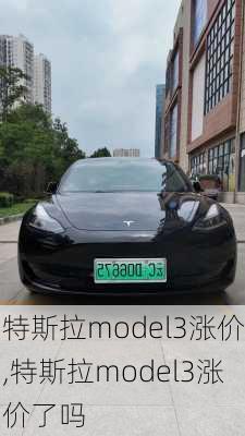 特斯拉model3涨价,特斯拉model3涨价了吗