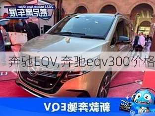 奔驰EQV,奔驰eqv300价格-第1张图片-立方汽车网