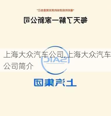 上海大众汽车公司,上海大众汽车公司简介-第2张图片-立方汽车网