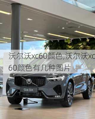 沃尔沃xc60颜色,沃尔沃xc60颜色有几种图片-第3张图片-立方汽车网