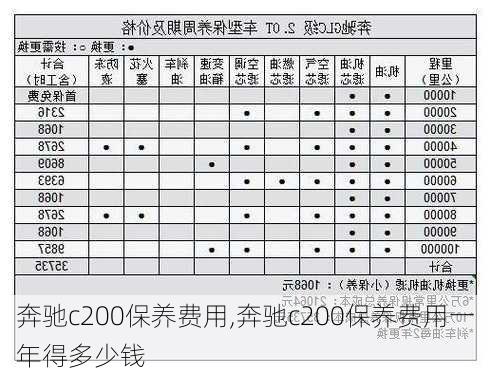 奔驰c200保养费用,奔驰c200保养费用一年得多少钱-第2张图片-立方汽车网