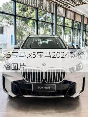 x5宝马,x5宝马2024款价格图片-第1张图片-立方汽车网