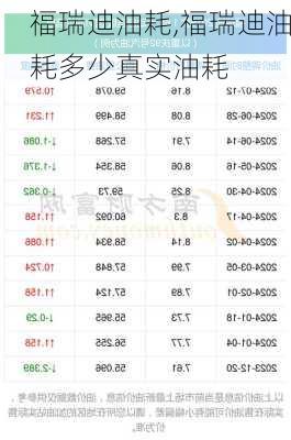 福瑞迪油耗,福瑞迪油耗多少真实油耗-第2张图片-立方汽车网