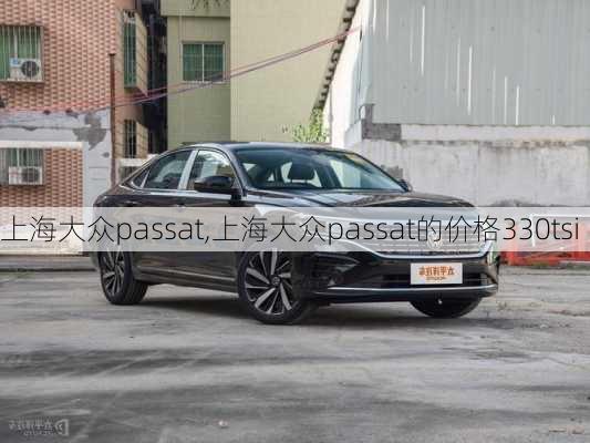 上海大众passat,上海大众passat的价格330tsi-第2张图片-立方汽车网