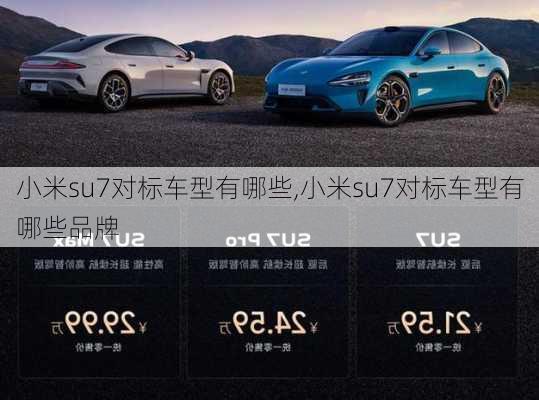 小米su7对标车型有哪些,小米su7对标车型有哪些品牌-第3张图片-立方汽车网