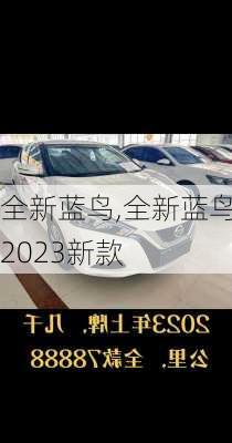 全新蓝鸟,全新蓝鸟2023新款-第2张图片-立方汽车网