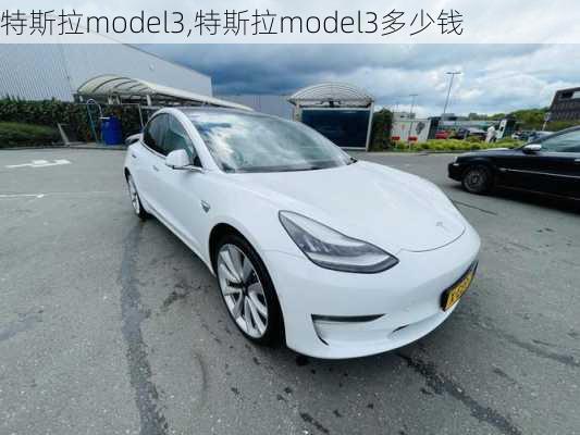 特斯拉model3,特斯拉model3多少钱-第1张图片-立方汽车网